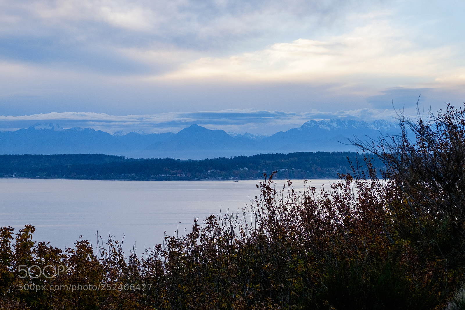 Fujifilm X-T1 sample photo. View of mt rainier photography