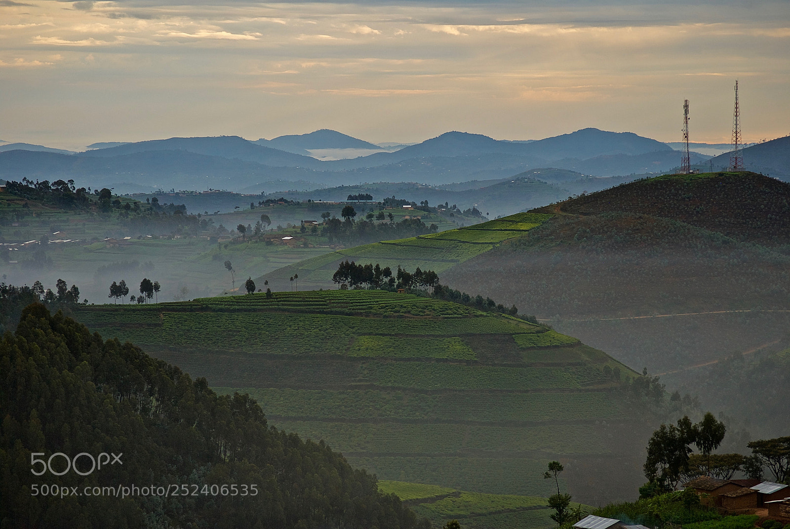 Nikon D60 sample photo. Rolling hills. misty morning. photography