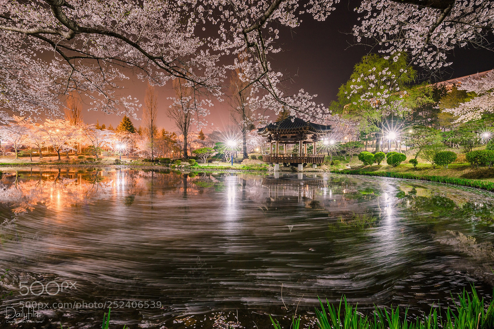 Canon EOS 6D Mark II sample photo. Pieces of spring photography