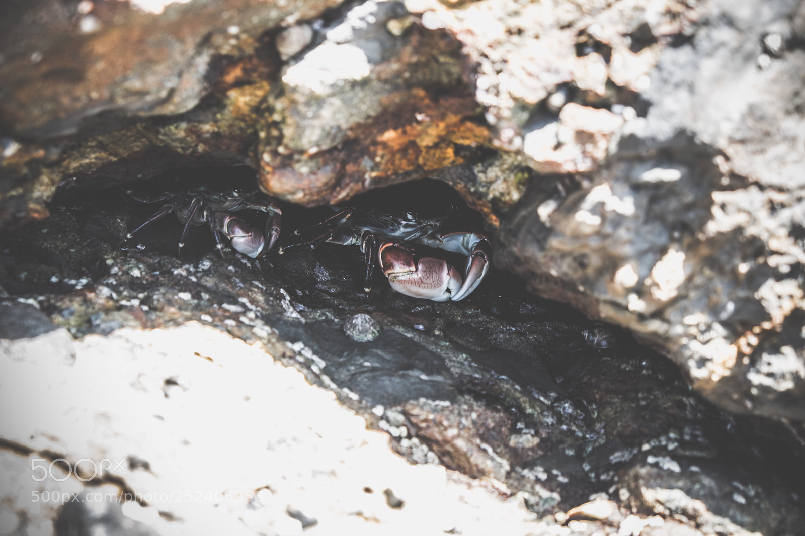 Fujifilm X-T2 sample photo. A couple tide pool photography