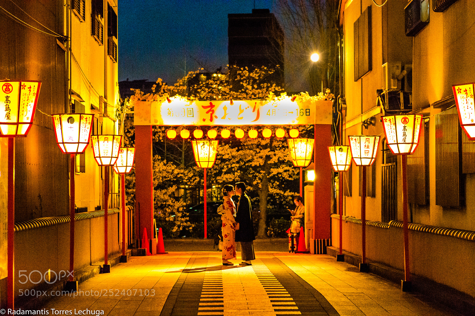Nikon D7200 sample photo. Love under sakura photography