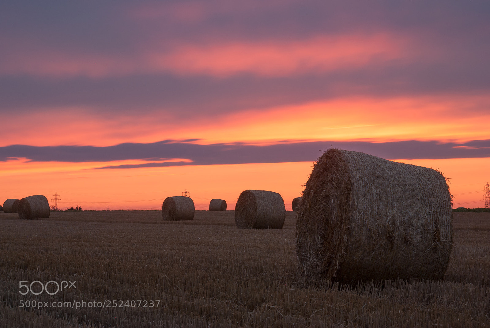 Nikon D60 sample photo. Hay bales ii photography