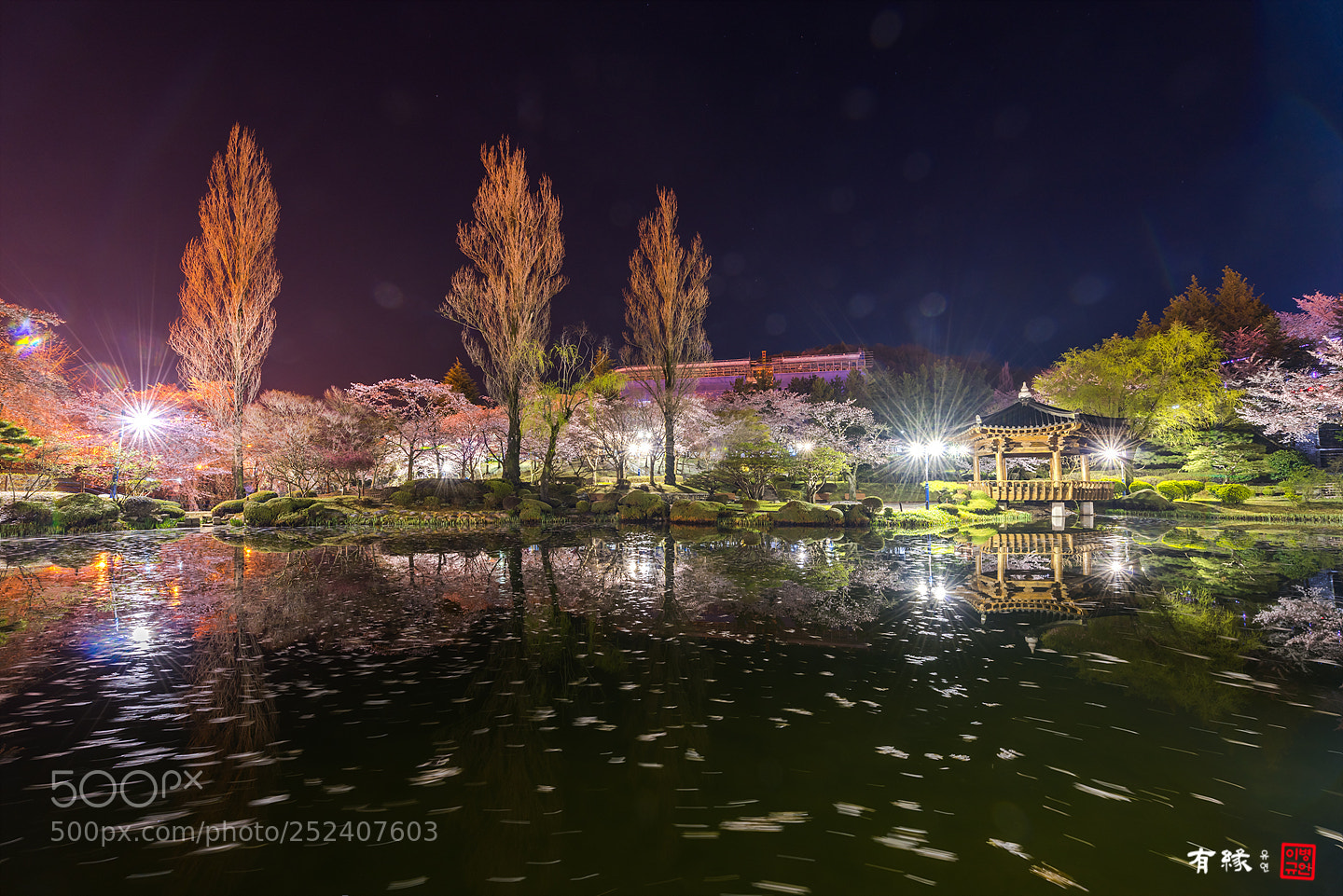 Nikon D810 sample photo. . photography