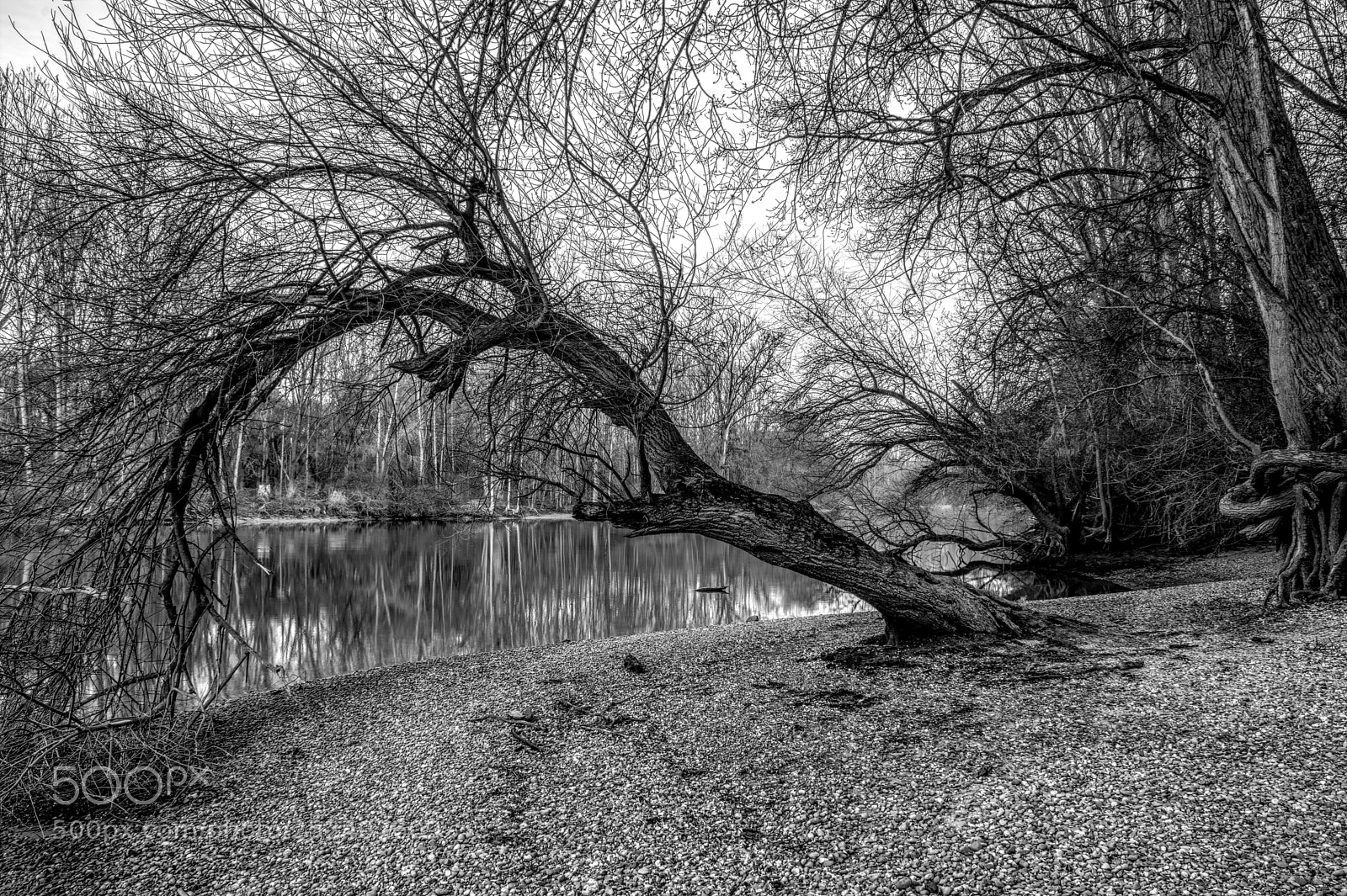 Nikon D7100 sample photo. River15 photography