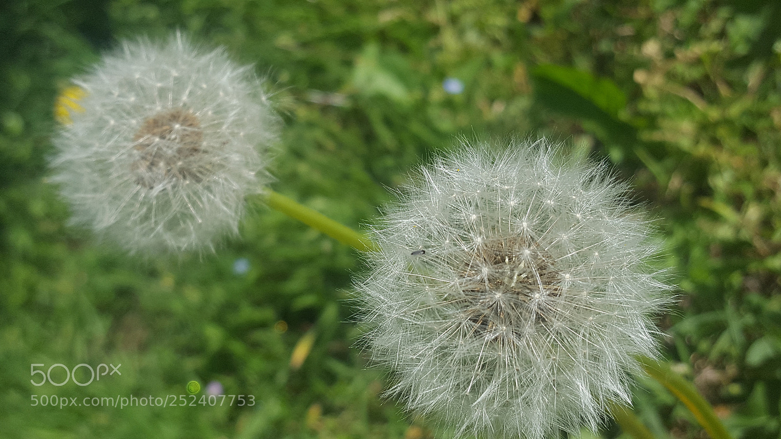Samsung GALAXY S6 edge sample photo. Untitled photography