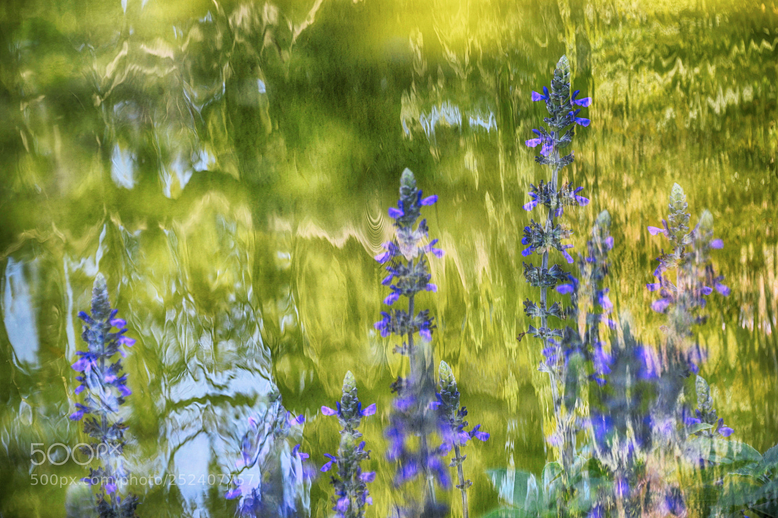 Nikon D800E sample photo. Just reflect photography