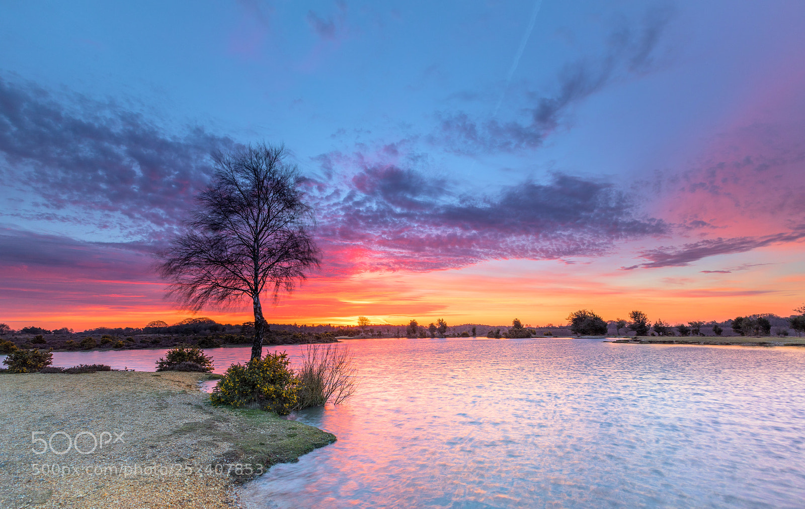 Canon EOS 5D Mark IV sample photo. Andrews mare dawn photography