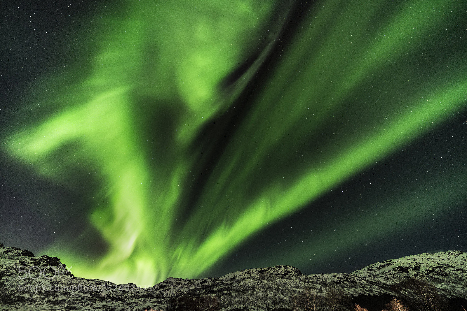Sony a7R III sample photo. Aurora in the lofoten photography