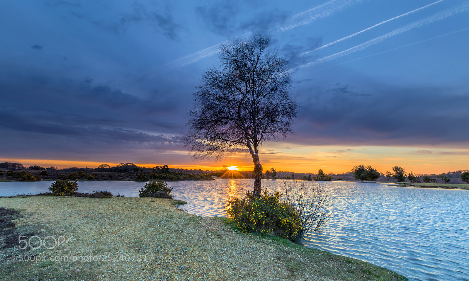 Canon EOS 5D Mark IV sample photo. Gorse sunrise photography