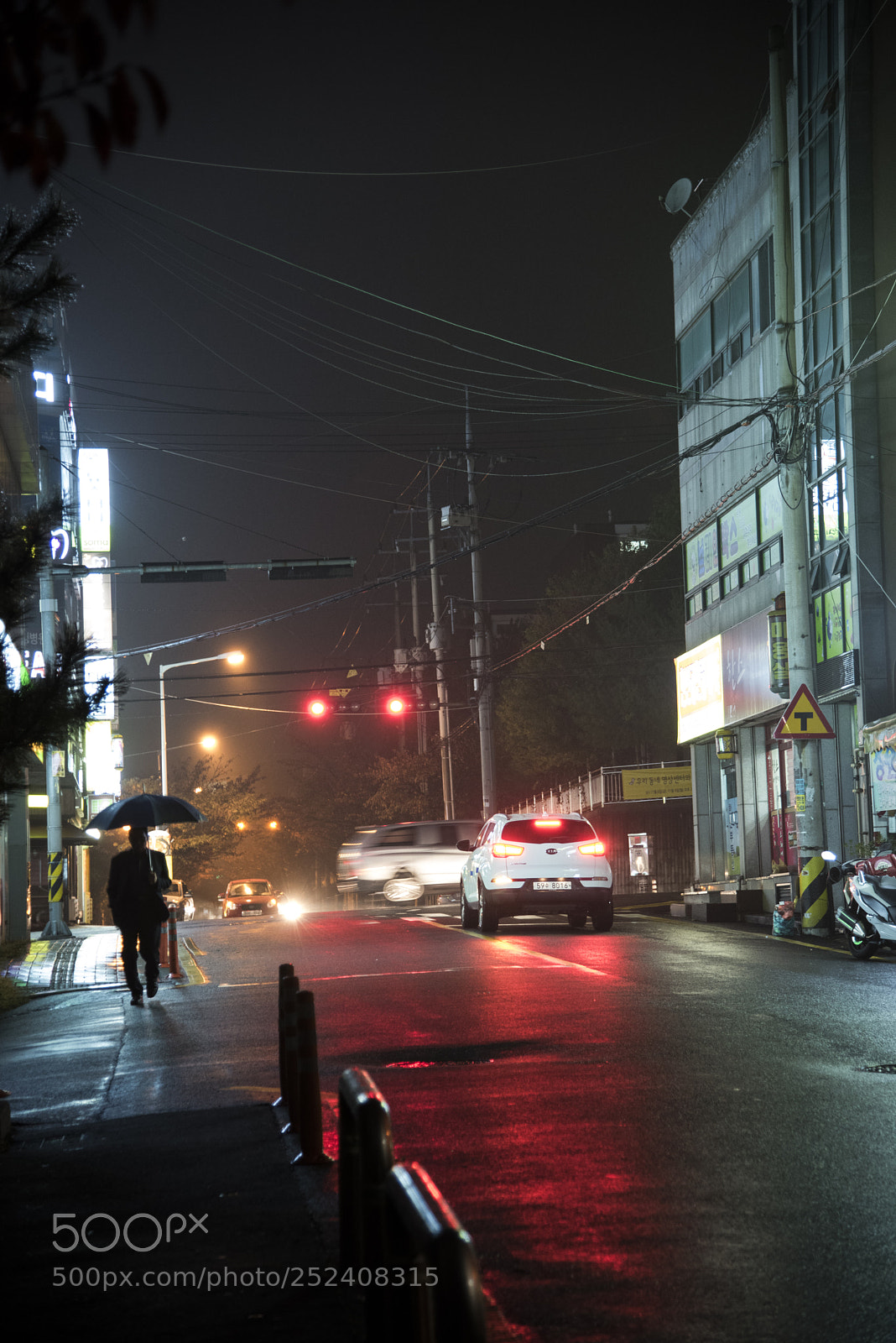 Nikon D810 sample photo. Rainy photography