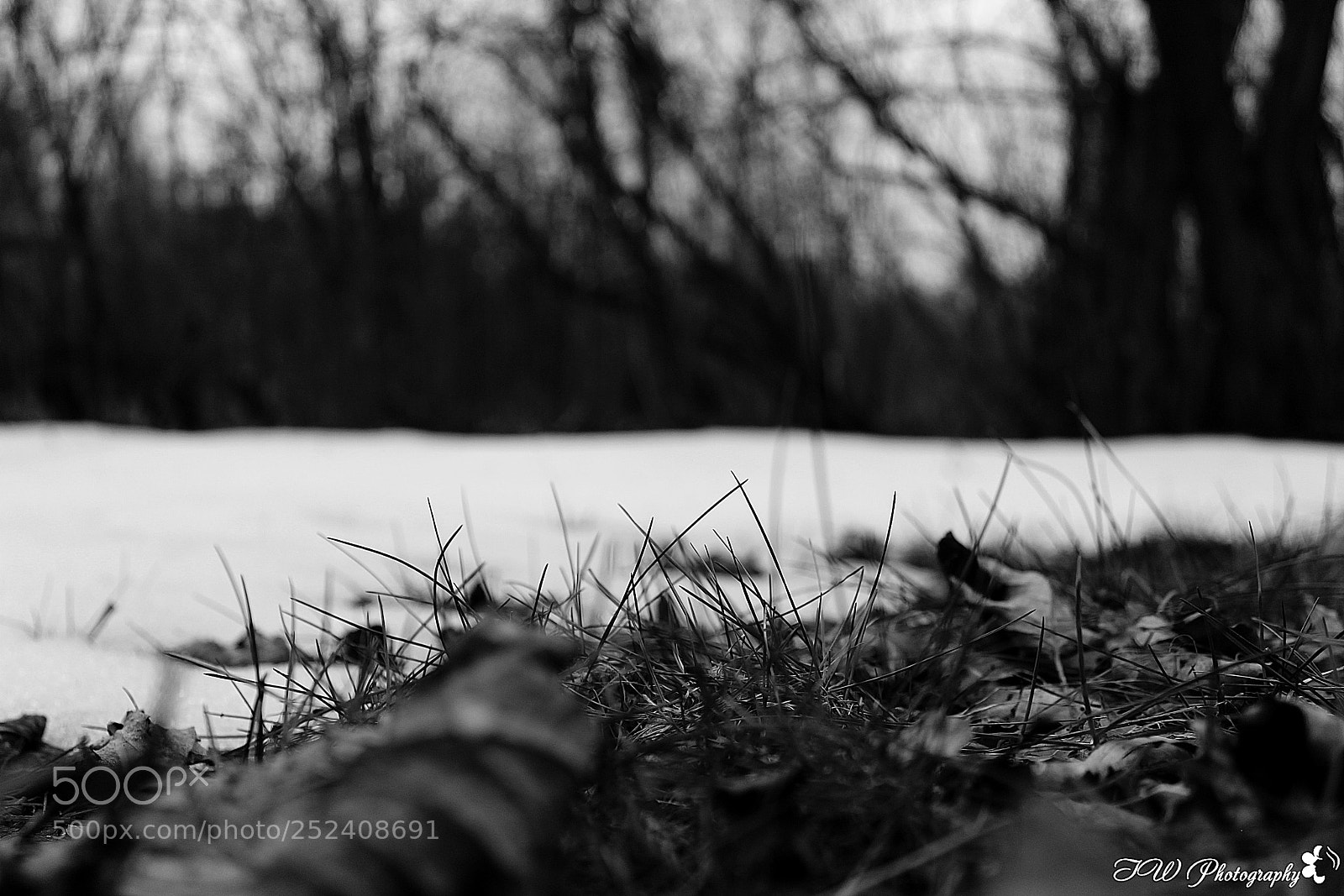 Canon EOS 1300D (EOS Rebel T6 / EOS Kiss X80) sample photo. Spring snow photography