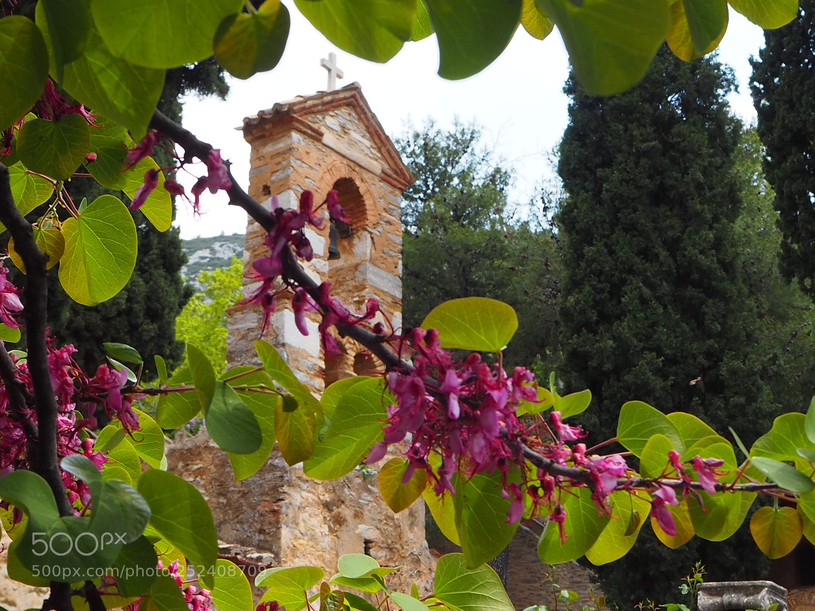 Olympus OM-D E-M10 II sample photo. Good friday,devoutness photography