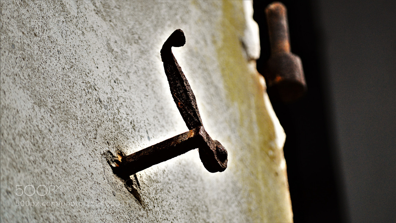 Nikon D3200 sample photo. Untitled photography