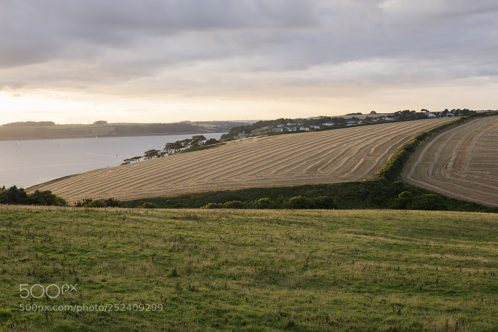 Nikon D600 sample photo. Coastal harvest (3) photography