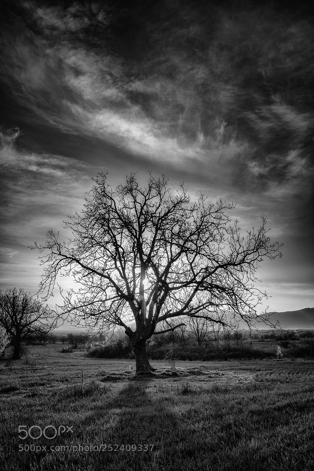 Nikon D5300 sample photo. Bw photography