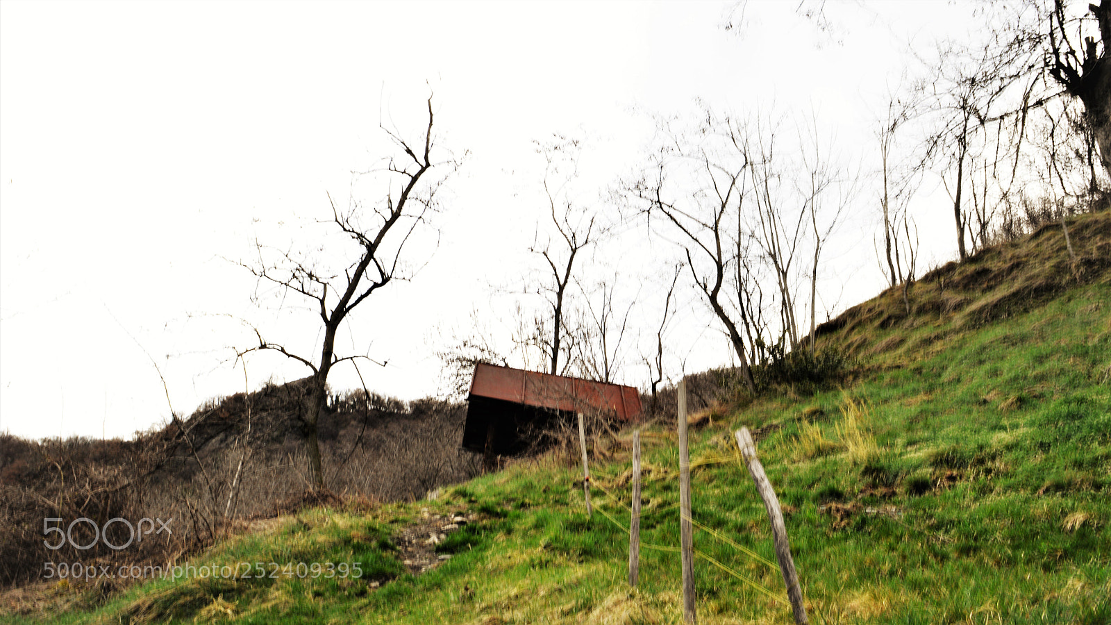 Nikon D3200 sample photo. Untitled photography