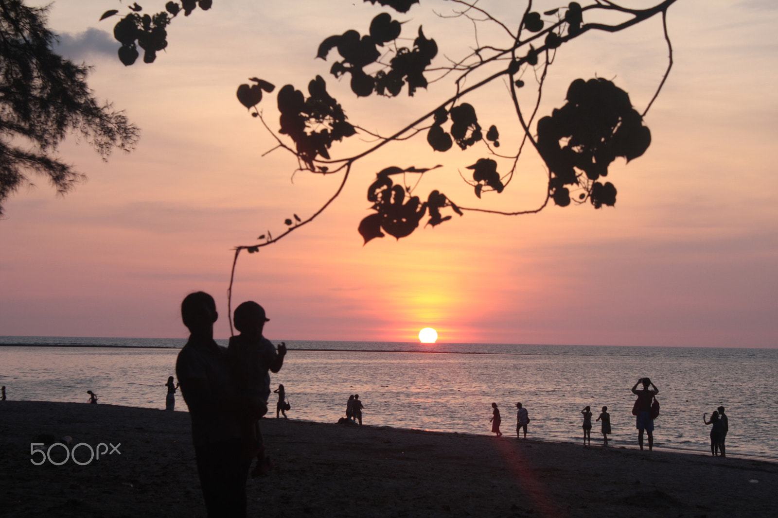 Canon EOS 40D sample photo. Img photography