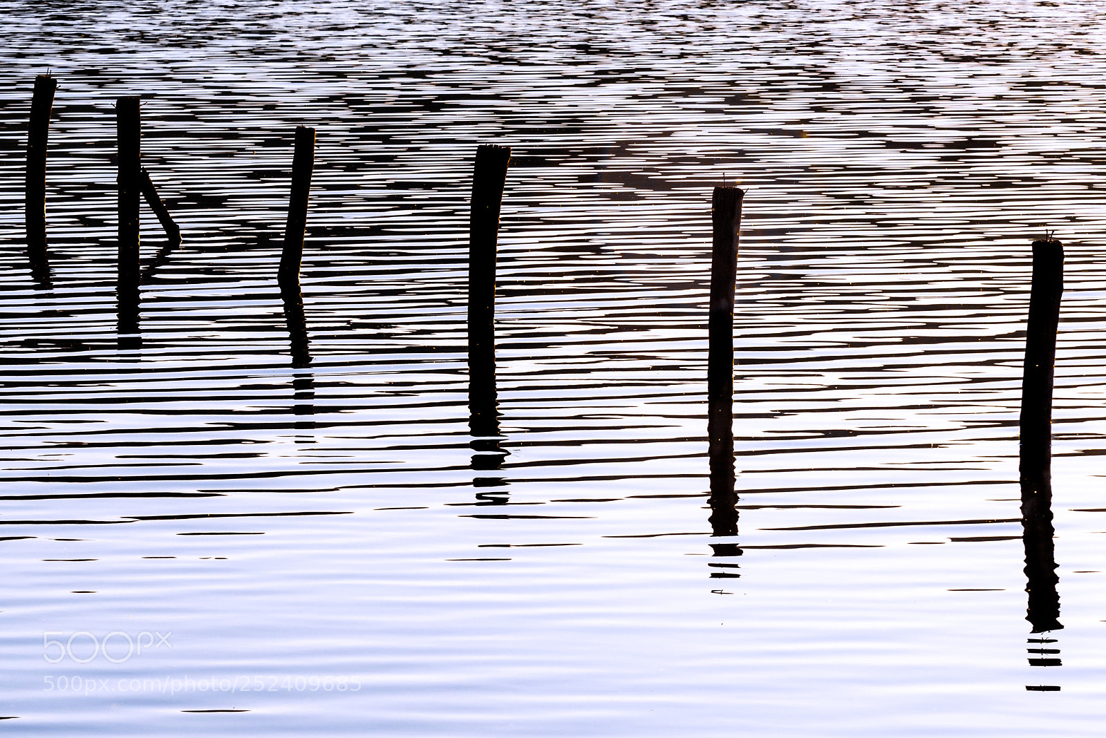 Nikon D810 sample photo. Random lines photography