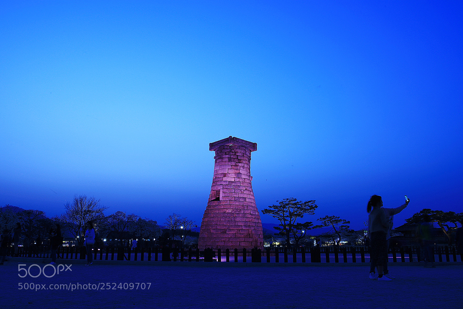 Canon EOS-1D Mark III sample photo. Ssw_9767-1.jpg photography