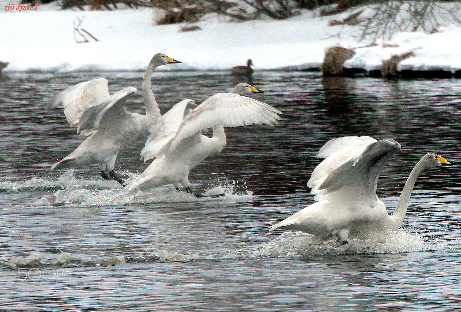 Canon EOS 700D (EOS Rebel T5i / EOS Kiss X7i) sample photo. "perfect trio-landing" photography