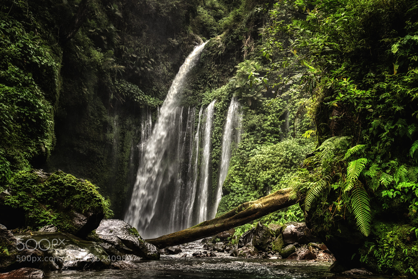 Sony a9 sample photo. The driver of nature photography