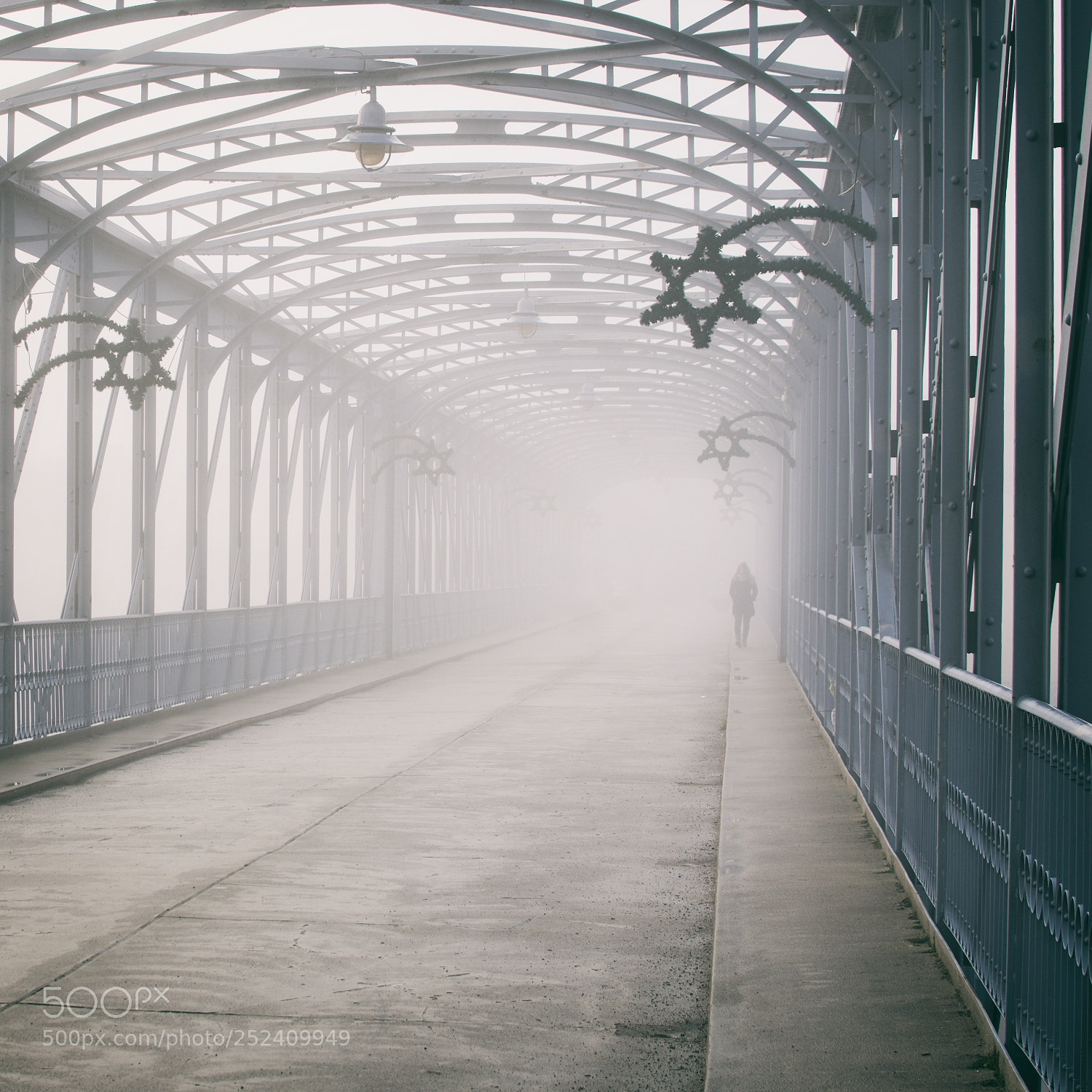 Nikon D7200 sample photo. Fog ... photography