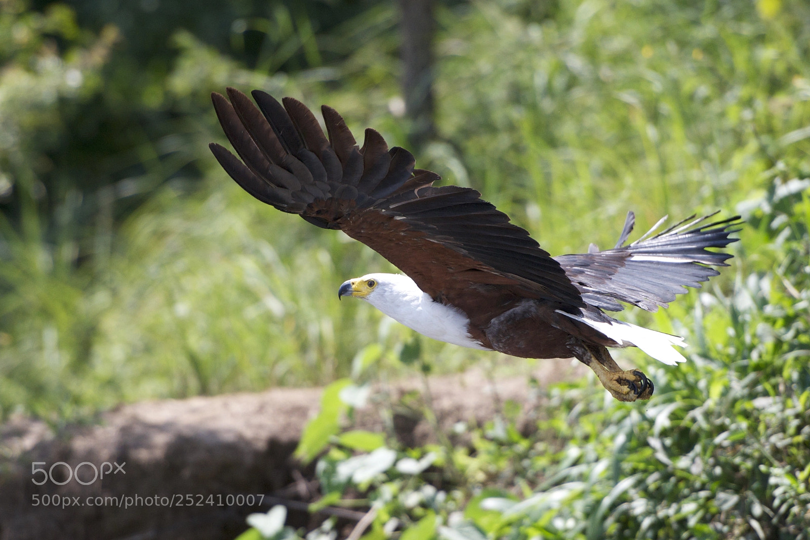 Nikon D800 sample photo. Vol photography