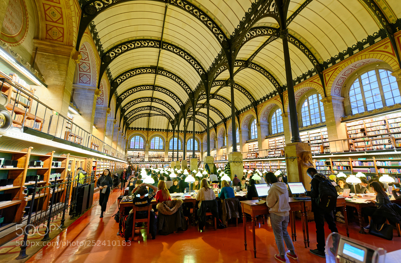 Nikon D800 sample photo. Bibliothèque sainte-geneviève photography