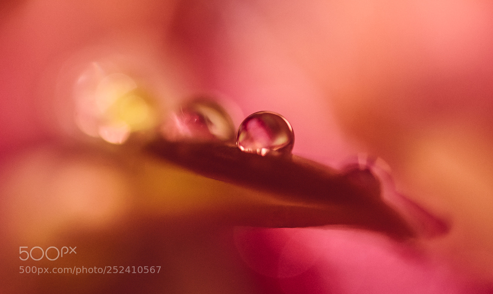 Nikon D7200 sample photo. Goutte enflamée photography