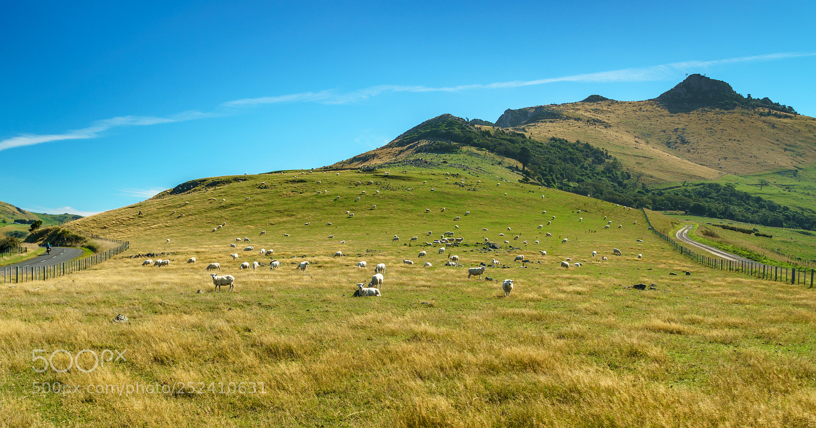 Sony a9 sample photo. Sheeps in the mountains photography