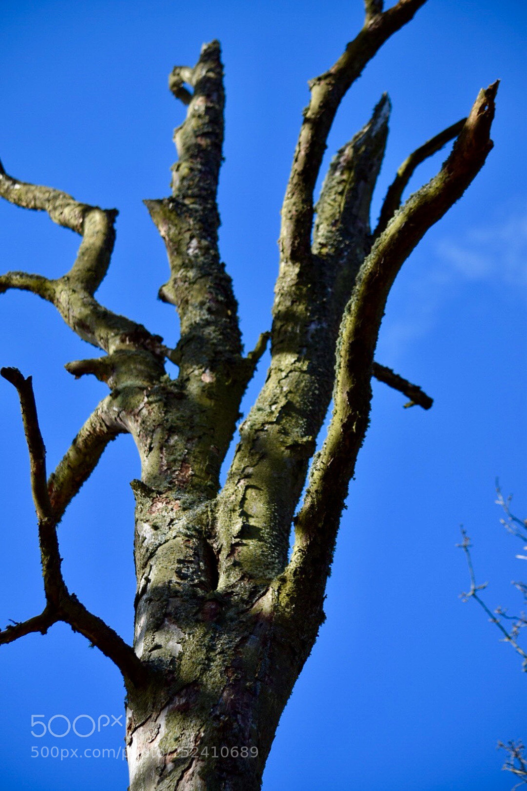 Nikon D5300 sample photo. Untitled photography