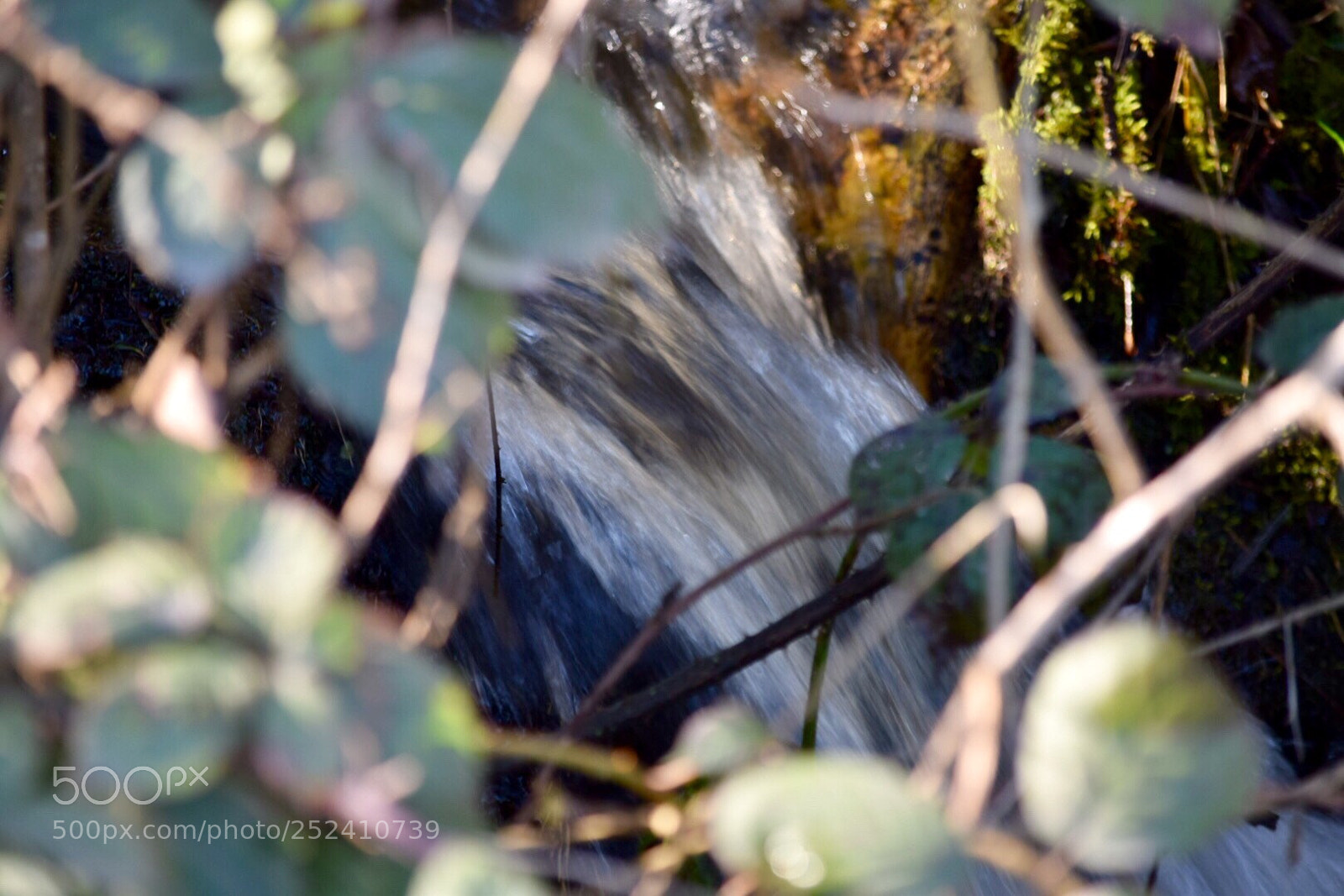 Nikon D5300 sample photo. Untitled photography