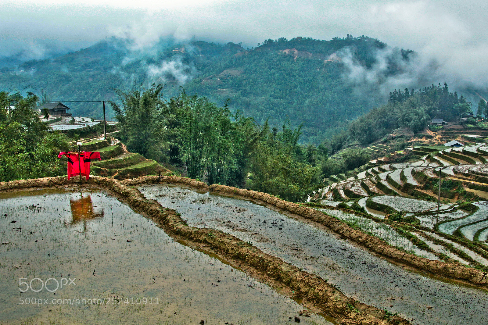 Canon EOS 600D (Rebel EOS T3i / EOS Kiss X5) sample photo. Sa pa rice paddy photography