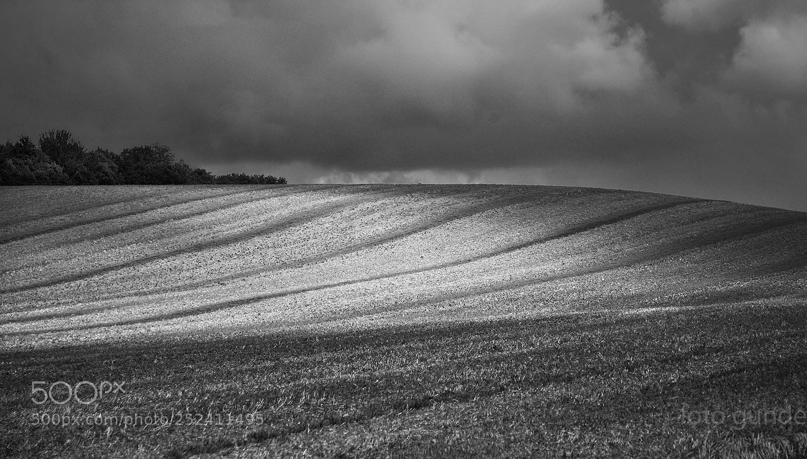 Canon EOS 5D sample photo. Strips on field photography