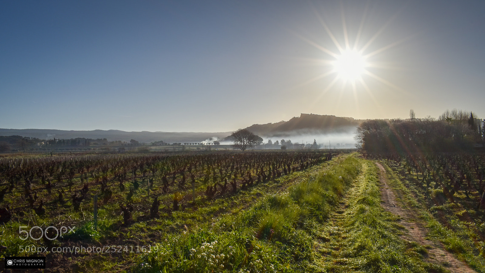 Nikon D5500 sample photo. Provence matinale photography