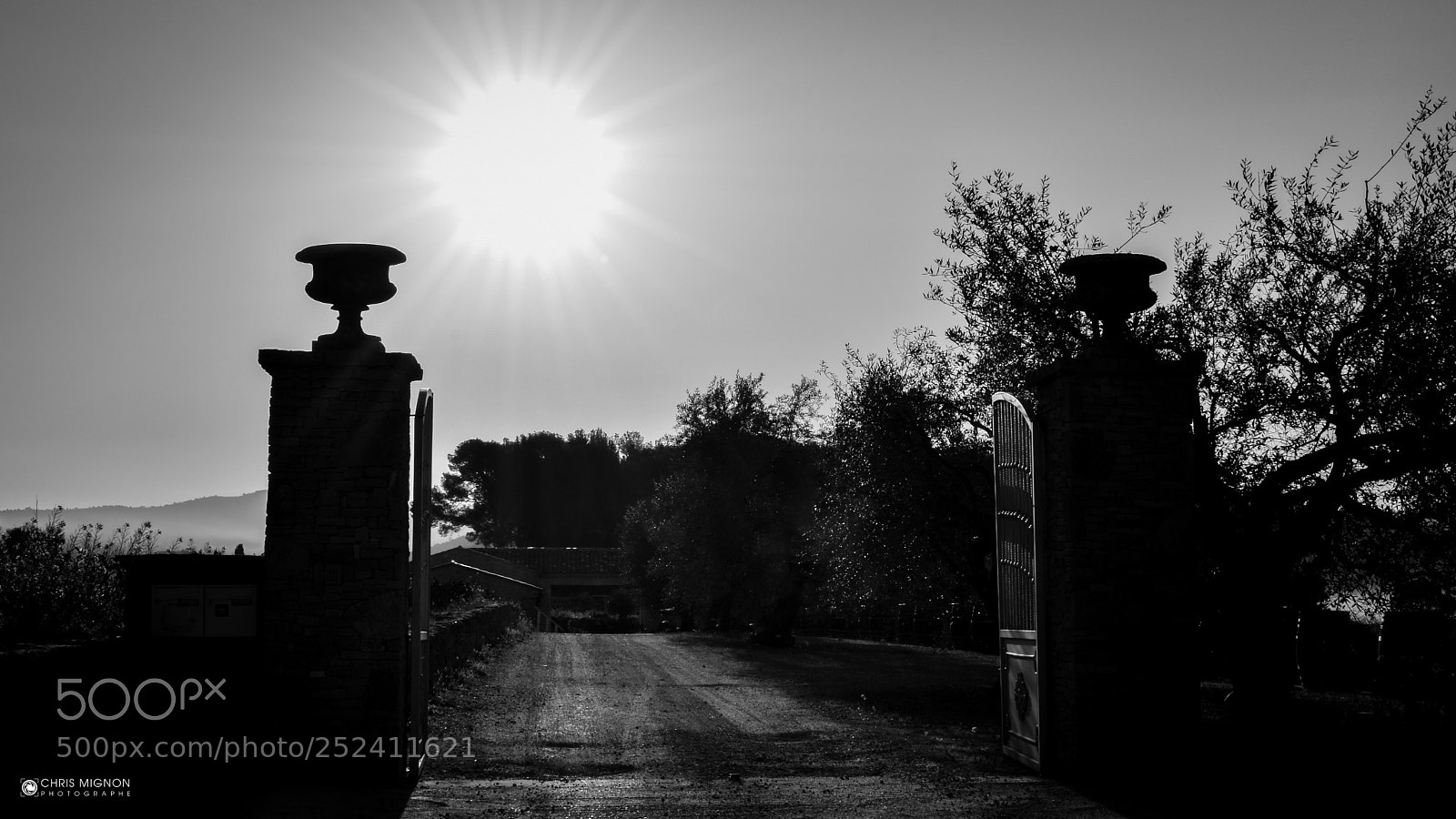 Nikon D5500 sample photo. Provence matinale 2 photography