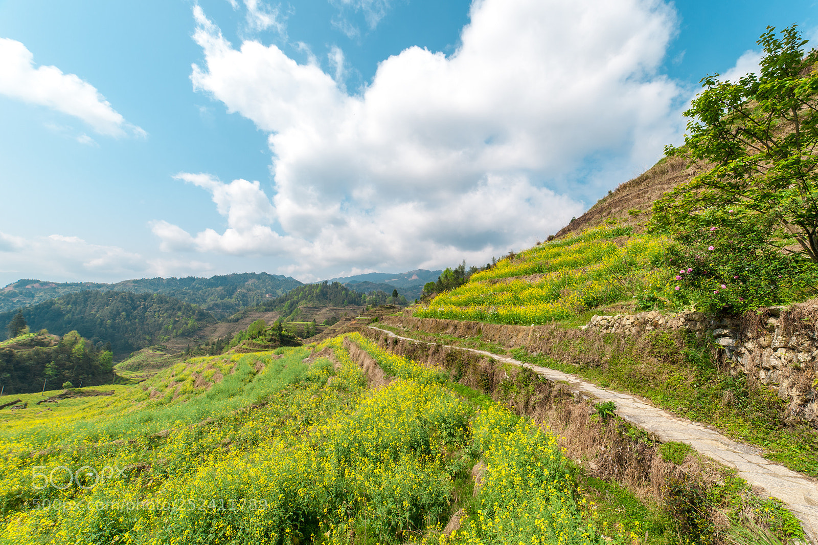 Nikon D700 sample photo. Long way photography
