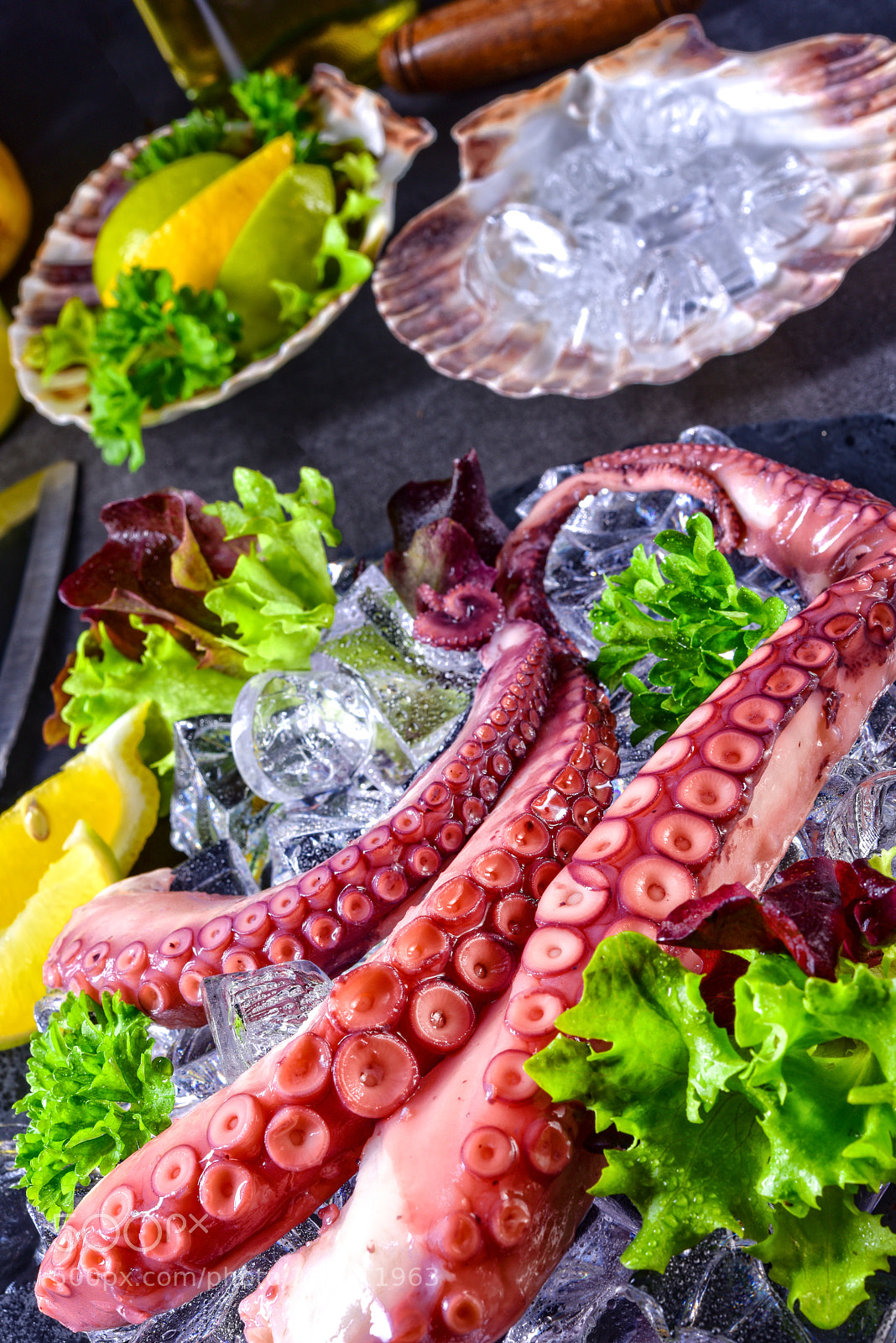 Nikon D810 sample photo. Raw octopus on the photography