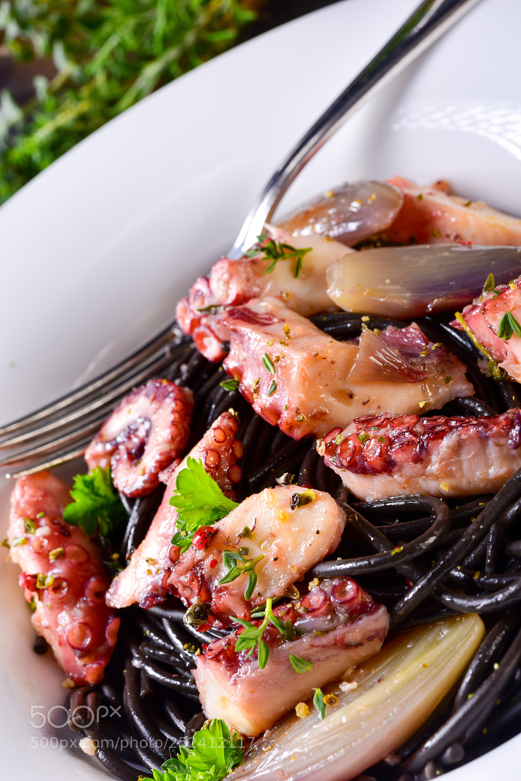 Nikon D810 sample photo. Octopus with black spaghetti photography