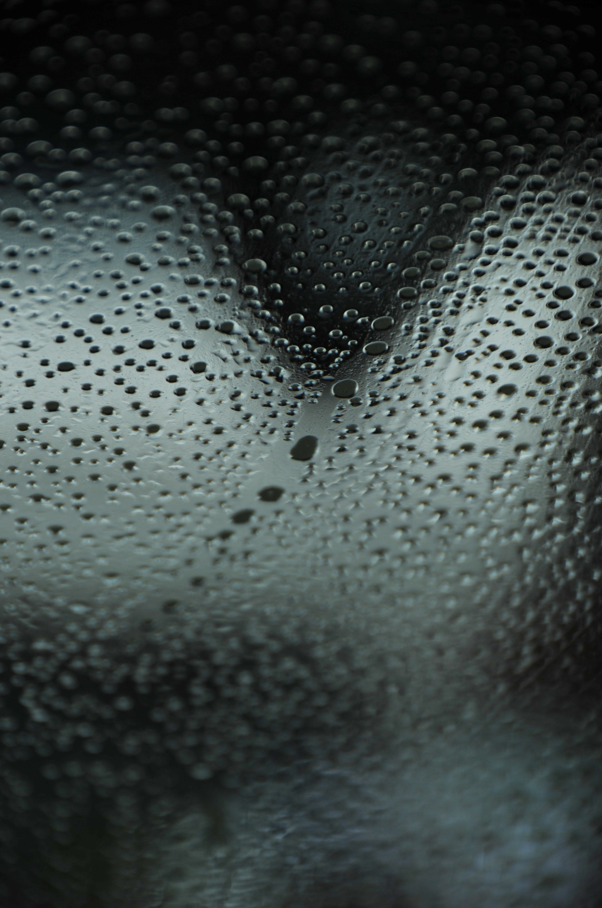 Nikon D3S sample photo. .. photography