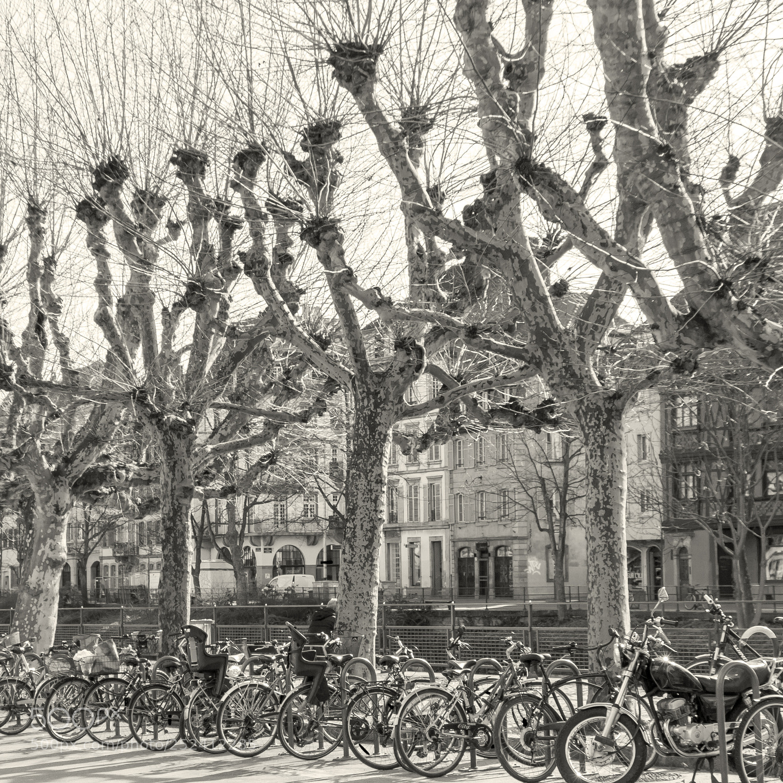 Canon EOS 70D sample photo. Streetlife in strasbourg photography