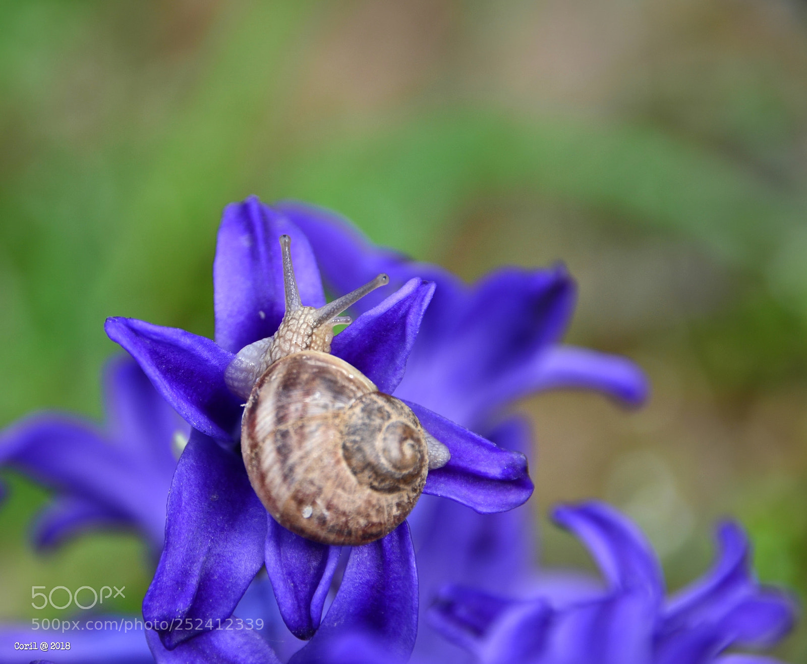 Nikon D3100 sample photo. Untitled photography
