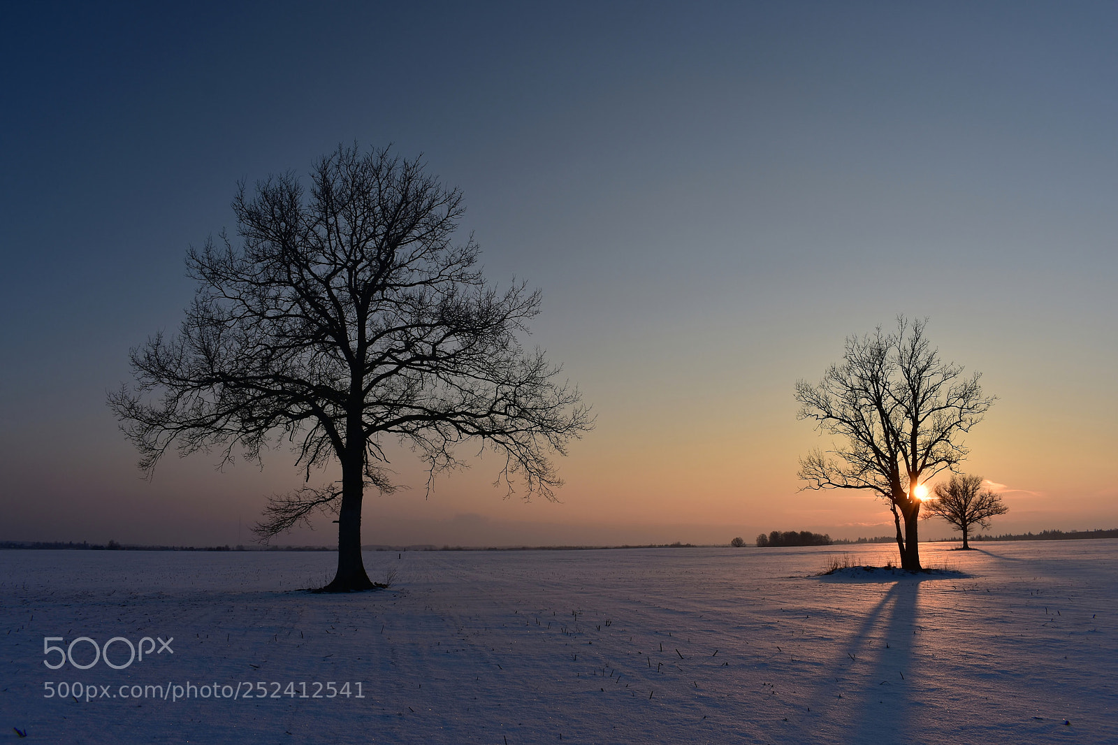 Nikon D3400 sample photo. Winter sunset photography