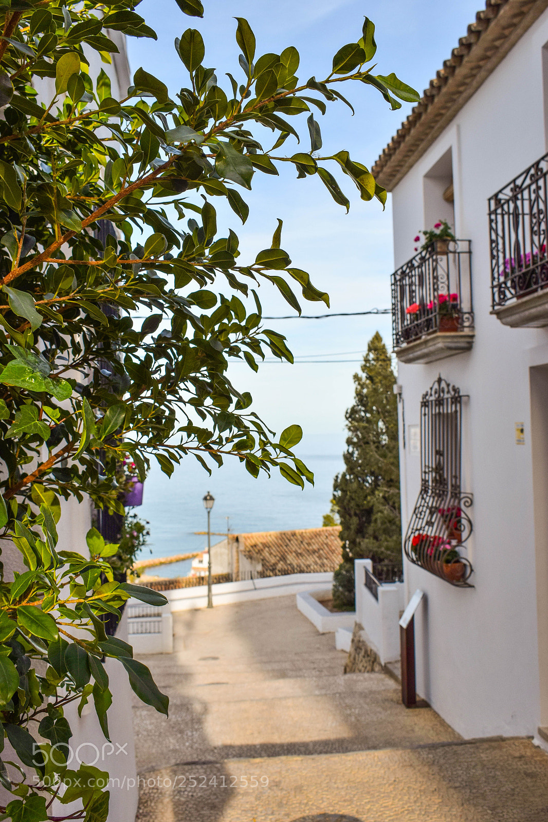 Nikon D3300 sample photo. Altea photography