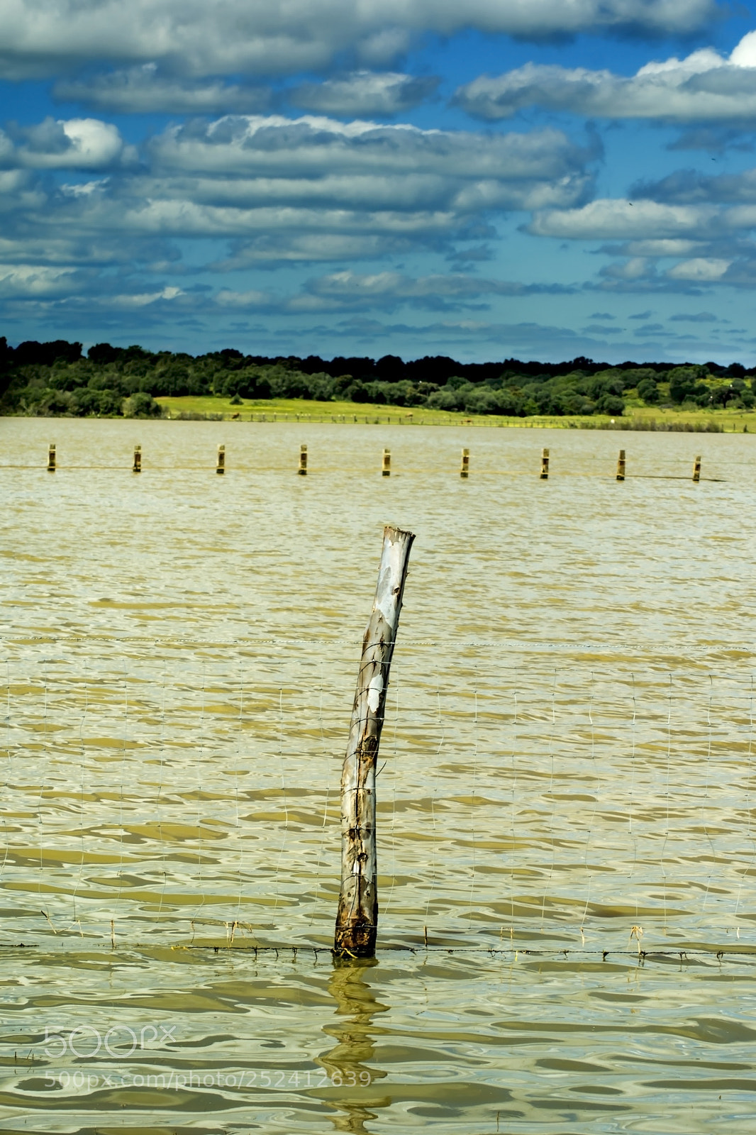 Nikon D7100 sample photo. Wooden pole in a photography