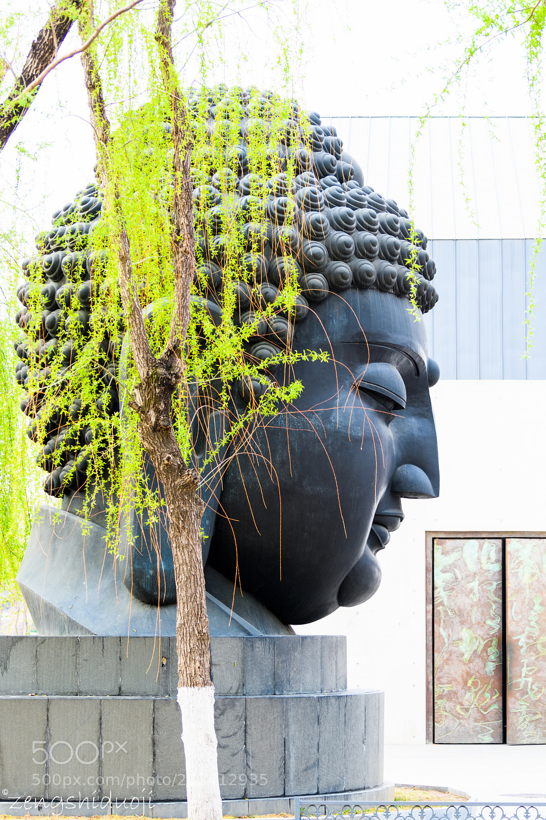 Nikon D500 sample photo. 禅 photography
