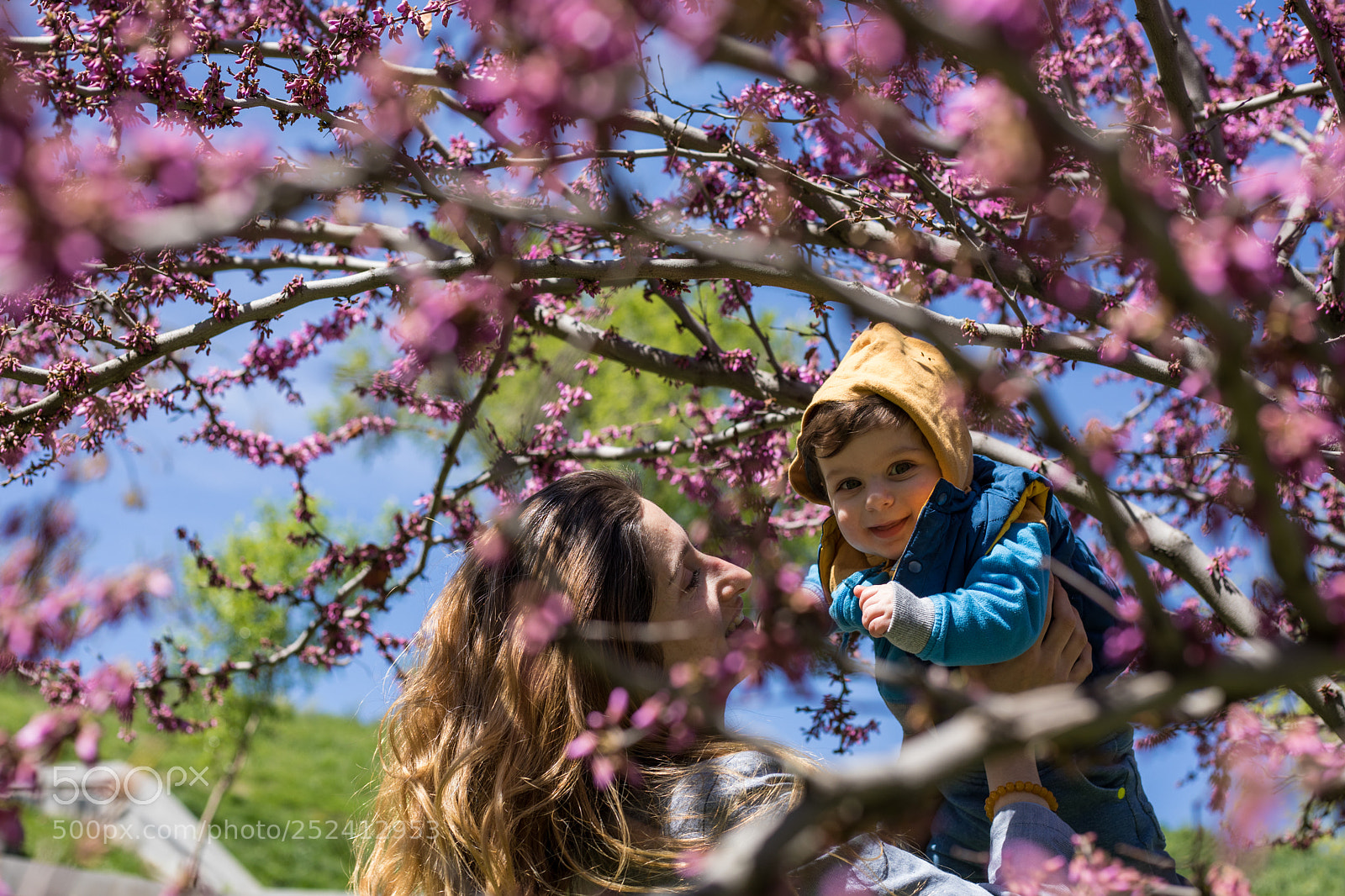Canon EOS 5D Mark IV sample photo. Spring photography