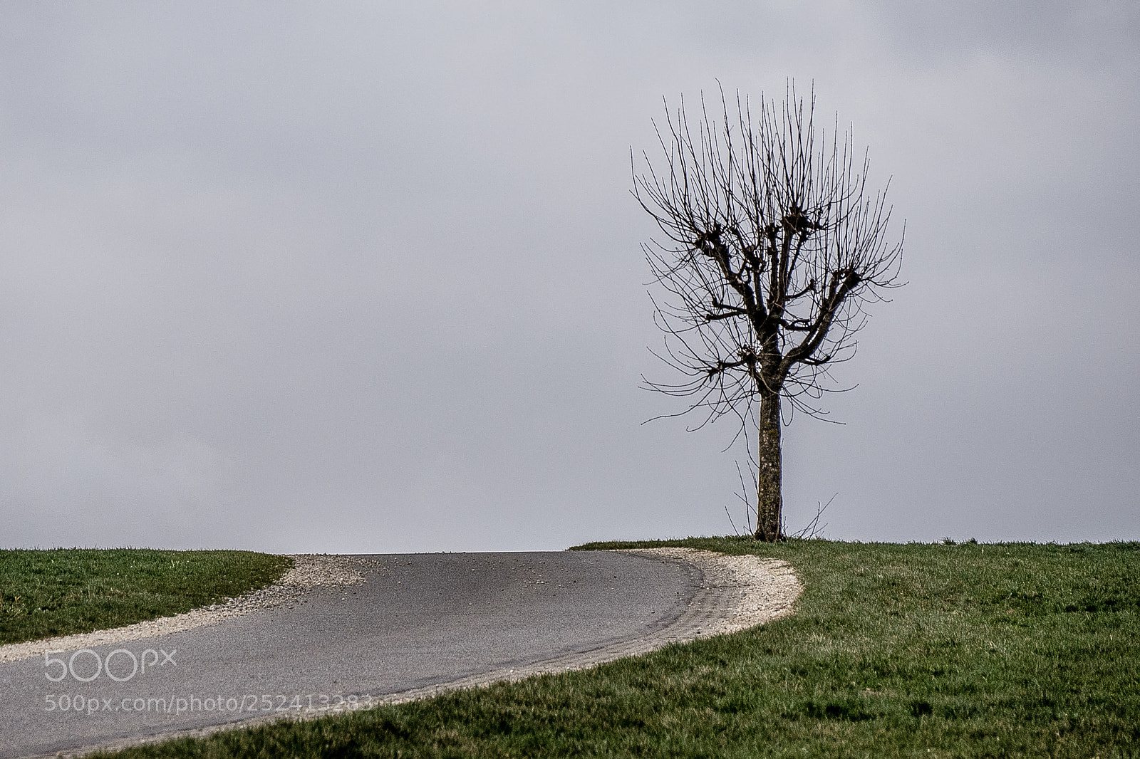 Panasonic DMC-G70 sample photo. Tree on country road photography