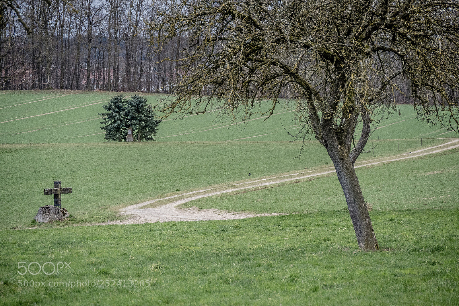 Panasonic DMC-G70 sample photo. Rural scene photography