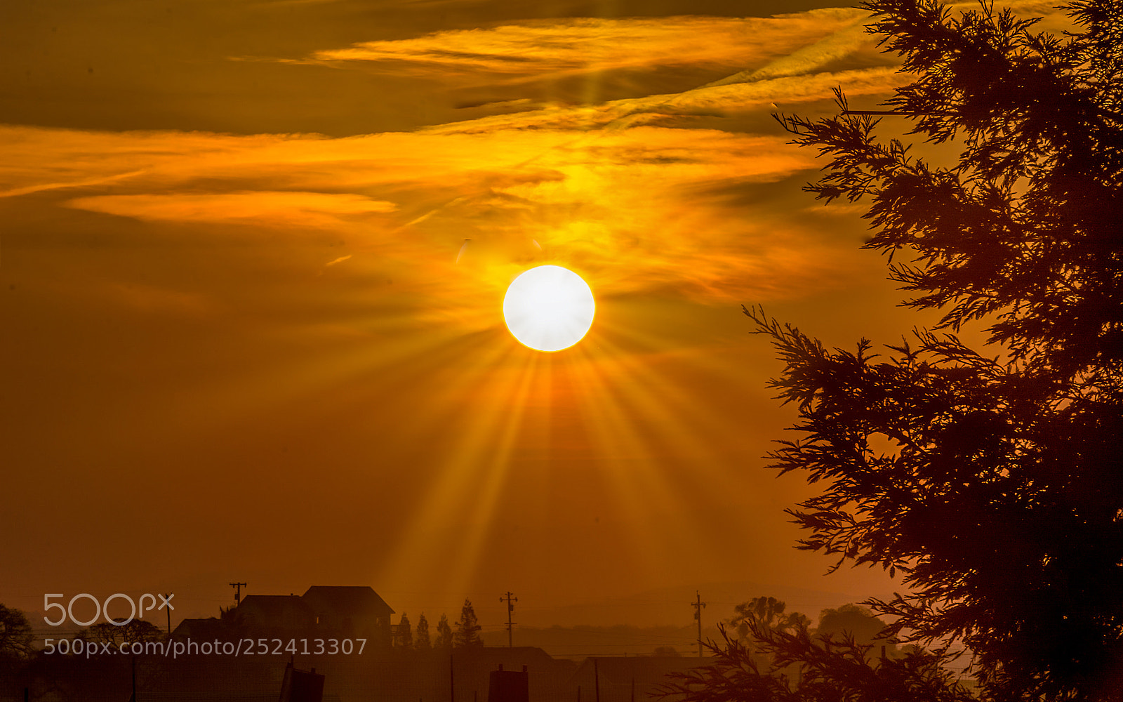 Nikon D7100 sample photo. Sun photography